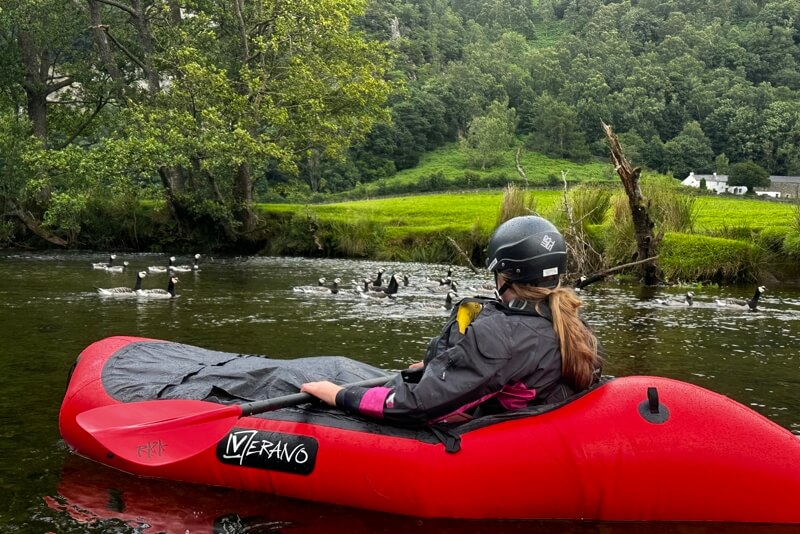 Women and geese on the river