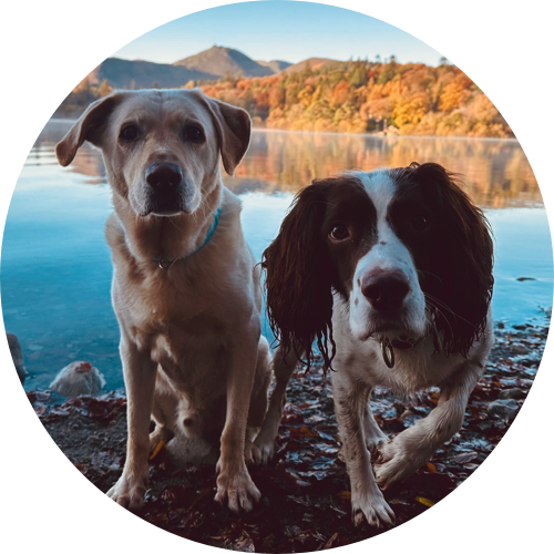 Roman and Buddy of Keswick Adventures