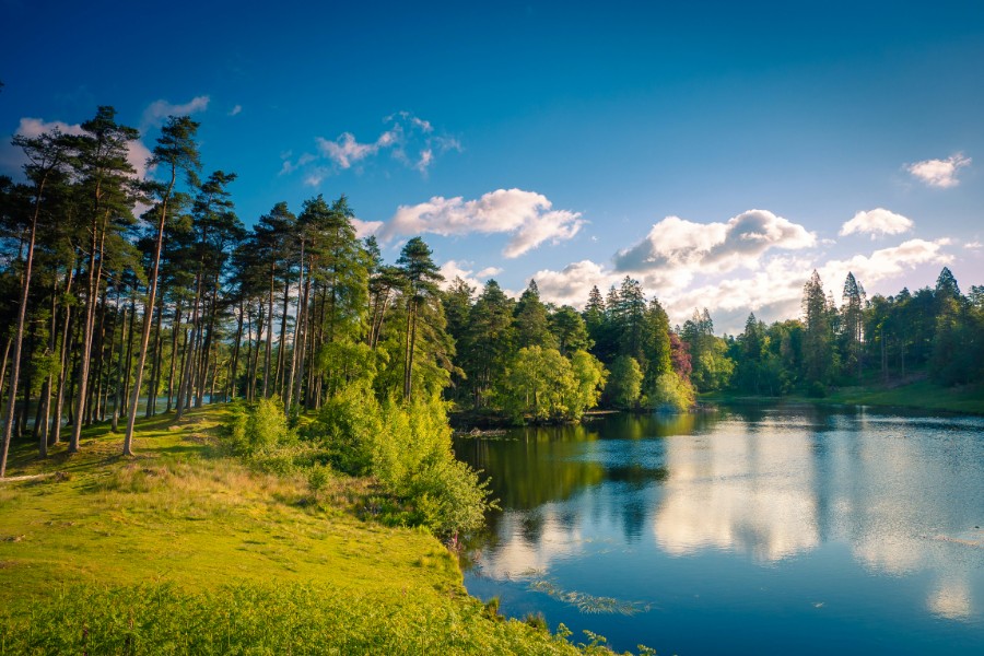 Tarn Hows in the Lake District on a summer day